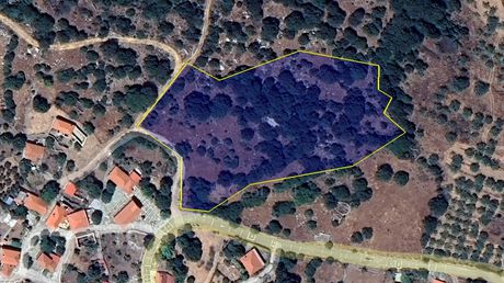Οικόπεδο 4.651τ.μ. για πώληση-Πεταλίδι » Αχλαδοχώρι
