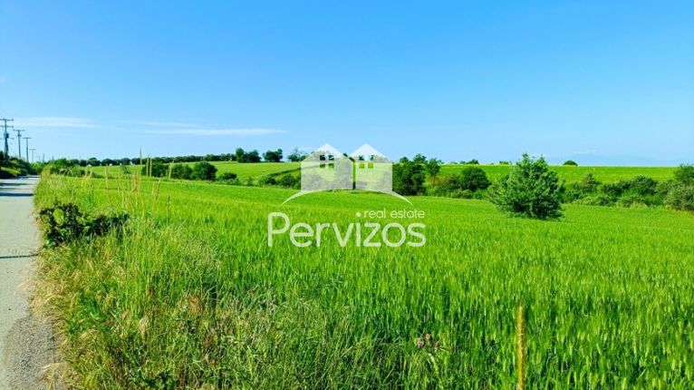 Αγροτεμάχια 6.900 τ.μ. για πώληση, Θεσσαλονίκη - Περιφ/Κοί Δήμοι, Θέρμη