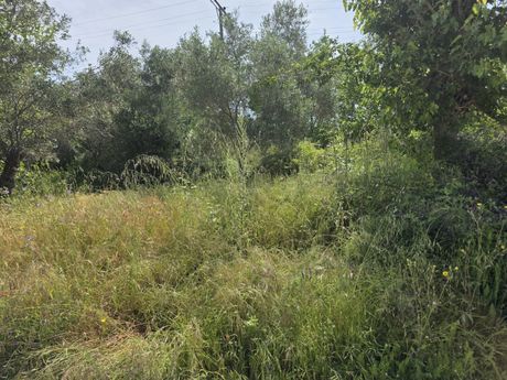 Αγροτεμάχια 500 τ.μ. για πώληση