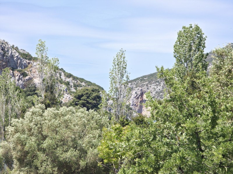 Αγροτεμάχια 3.000 τ.μ. προς πώληση, Συκιά Τορώνης