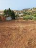 Οικόπεδο 655τ.μ. για πώληση-Ανάβυσσος » Άγιος νικόλαος