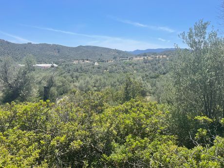 Αγροτεμάχια 17.555τ.μ. για πώληση-Λέσβος - μυτιλήνη » Μάρμαρο