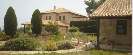 Βίλλα 479τ.μ. για πώληση-Κασσάνδρα » Κρυοπηγή