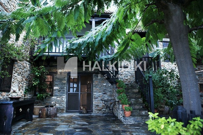 Μονοκατοικία 400 τ.μ. προς πώληση, Παρθενώνας