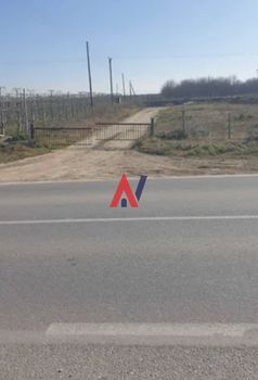 Αγροτεμάχια 13.600τ.μ. για πώληση-Αμπελώνας » Βρυότοπος
