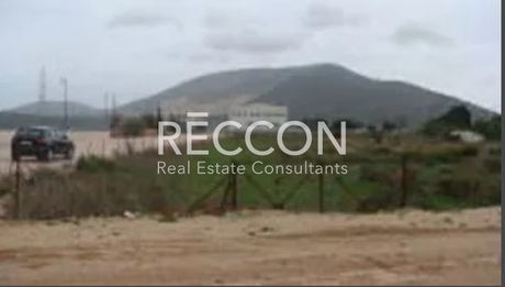 Land plot 4.050sqm for rent-Markopoulo » Agia Triada