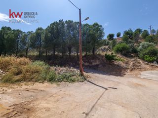 Διαμέρισμα 49,67 τ.μ. για πώληση, Αργολίδα, Ναύπλιο-thumb-14