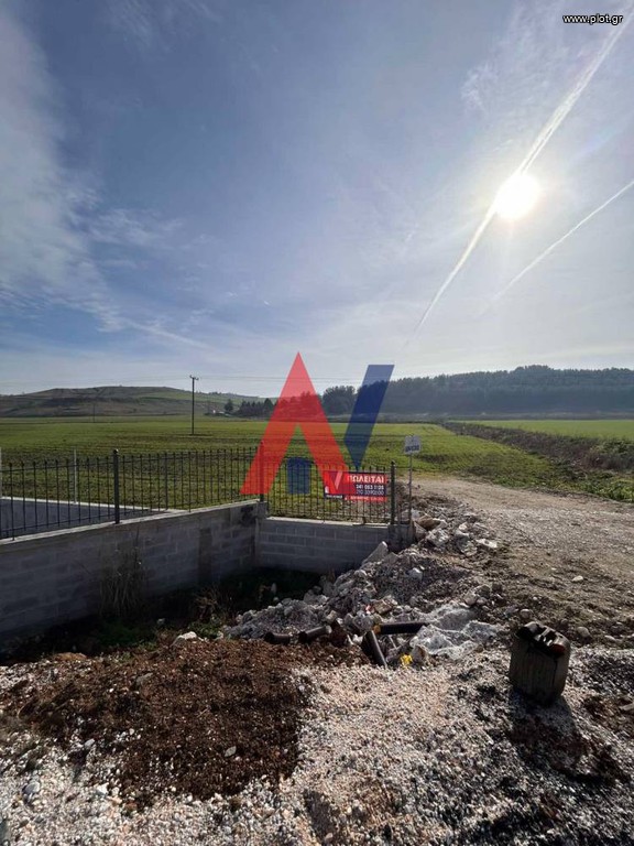 Αγροτεμάχια 10.800 τ.μ. για πώληση, Ν. Λάρισας, Κοιλάδα