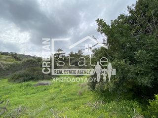 Αγροτεμάχια 1.500 τ.μ. για πώληση