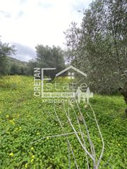 Αγροτεμάχια 1.000 τ.μ. προς πώληση, Μύρτος Ιεράπετρας-thumb-1