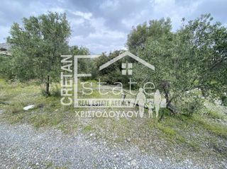 Αγροτεμάχια 7.853 τ.μ. προς πώληση, Μύρτος Ιεράπετρας-thumb-3