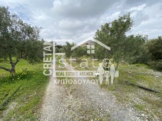 Αγροτεμάχια 7.853 τ.μ. προς πώληση, Μύρτος Ιεράπετρας-thumb-4