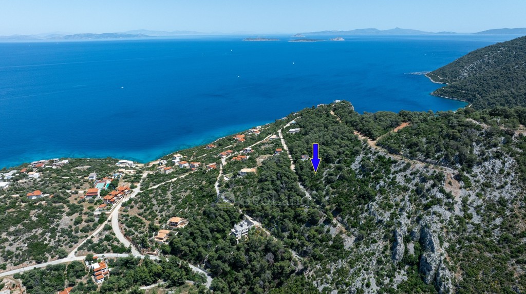 Αγροτεμάχια 1.138 τ.μ. προς πώληση, Πευκάλι