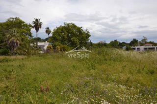 Αγροτεμάχια 3.064 τ.μ. για πώληση, Ν. Πρέβεζας, Ζάλογγο-thumb-7