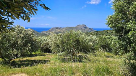 Land plot 6.020sqm for sale-Foinikas » Mariou
