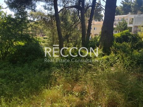 Οικόπεδο 1.000τ.μ. για πώληση-Άγιος στέφανος » Καπιτένια