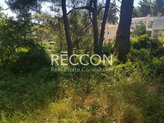 Οικόπεδο 1.000 τ.μ. για πώληση