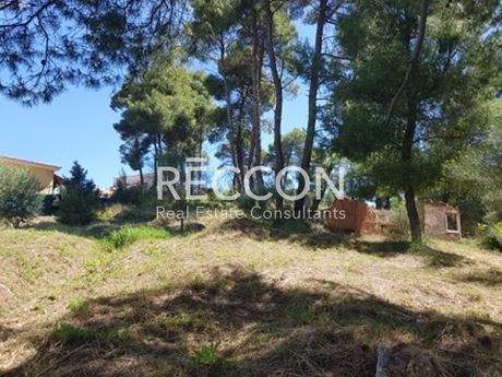 Οικόπεδο 950τ.μ. για πώληση-Άγιος στέφανος » Καπιτένια