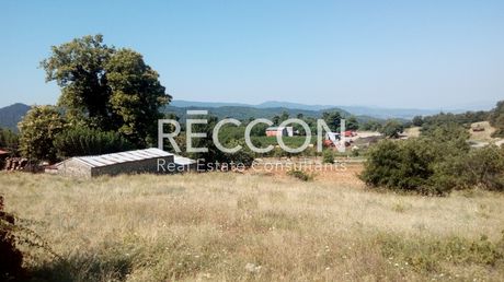 Οικόπεδο 520τ.μ. για πώληση-Ιστιαία » Μηλιές