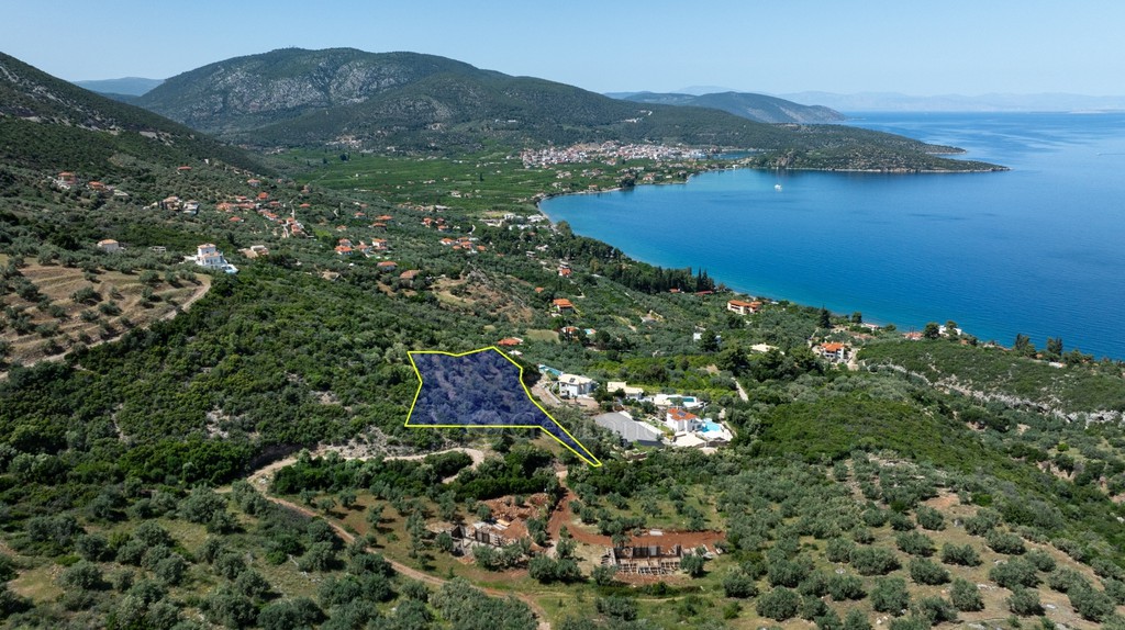 Αγροτεμάχια 4.200 τ.μ. προς πώληση, Αρχαία Επίδαυρος