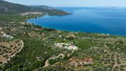 Parcel 4.200sqm for sale-Epidavros » Archaia Epidavros