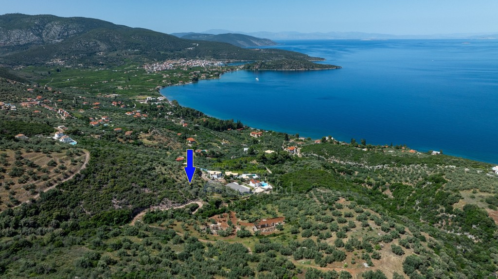 Αγροτεμάχια 4.200 τ.μ. προς πώληση, Αρχαία Επίδαυρος