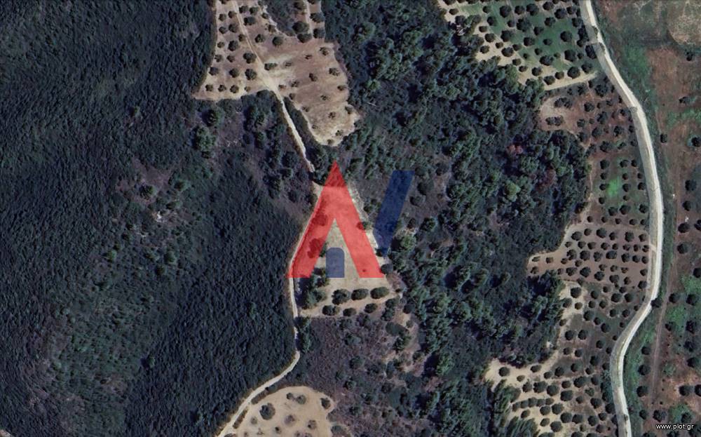 Αγροτεμάχια 5.232 τ.μ. προς πώληση, Νέα Σκιώνη