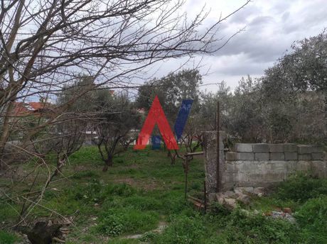 Μονοκατοικία 70τ.μ. για πώληση-Αιγίνιο » Κέντρο