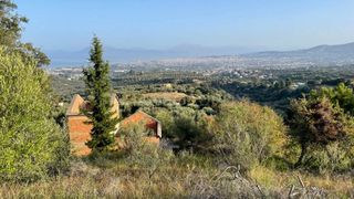 Οικόπεδο 3.726 τ.μ. για πώληση, Αχαΐα, Μεσσατίδα-thumb-3