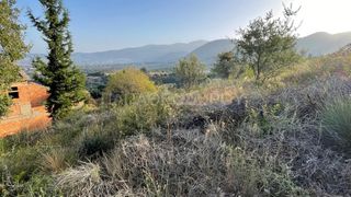 Οικόπεδο 3.726 τ.μ. για πώληση, Αχαΐα, Μεσσατίδα-thumb-12