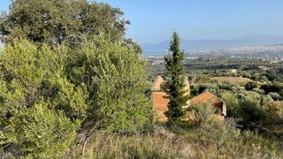 Οικόπεδο 3.726 τ.μ. για πώληση, Αχαΐα, Μεσσατίδα-thumb-5
