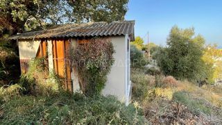 Οικόπεδο 3.726 τ.μ. για πώληση, Αχαΐα, Μεσσατίδα-thumb-8