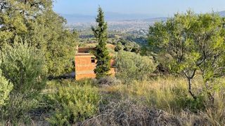 Οικόπεδο 3.726 τ.μ. για πώληση, Αχαΐα, Μεσσατίδα-thumb-2