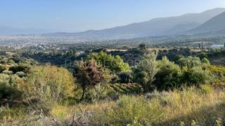 Οικόπεδο 3.726 τ.μ. για πώληση, Αχαΐα, Μεσσατίδα-thumb-4