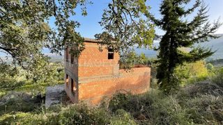 Οικόπεδο 3.726 τ.μ. για πώληση, Αχαΐα, Μεσσατίδα-thumb-11