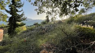 Οικόπεδο 3.726 τ.μ. για πώληση, Αχαΐα, Μεσσατίδα-thumb-10