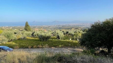 Land plot 3.726sqm for sale-Messatida