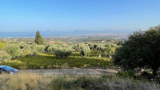 Οικόπεδο 3.726 τ.μ. για πώληση