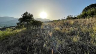 Οικόπεδο 3.726 τ.μ. για πώληση, Αχαΐα, Μεσσατίδα-thumb-1