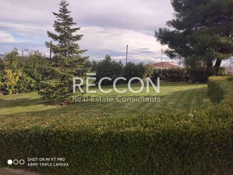 Detached home 270sqm for sale-Limni » Mirtias