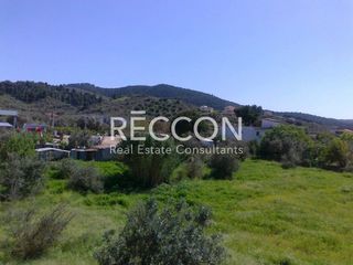 Μονοκατοικία 250 τ.μ. για πώληση, Εύβοια, Αρτεμίσιο-thumb-11