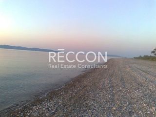 Μονοκατοικία 250 τ.μ. για πώληση, Εύβοια, Αρτεμίσιο-thumb-9