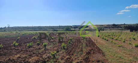 Αγροτεμάχια 1.497τ.μ. για πώληση-Σπάτα » Κέντρο