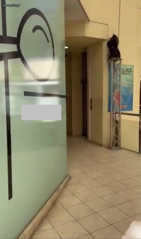 Κατάστημα 91 τ.μ. προς ενοικίαση, Προφήτης Ηλίας Παγκρατίου