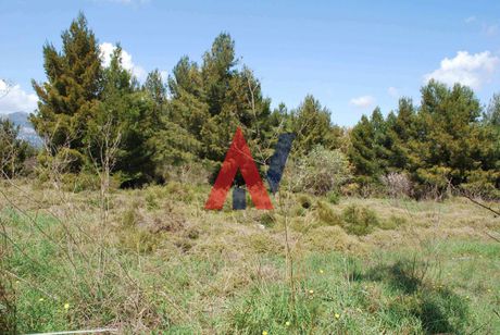 Land plot 418 sqm for sale