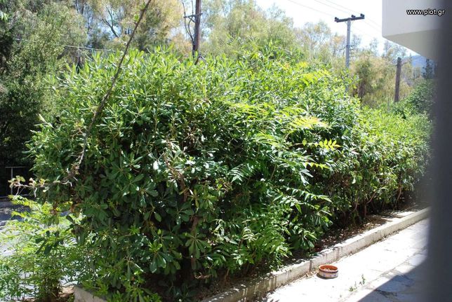 Κατάστημα 210 τ.μ. για πώληση, Αθήνα - Κέντρο, Εξάρχεια - Νεάπολη