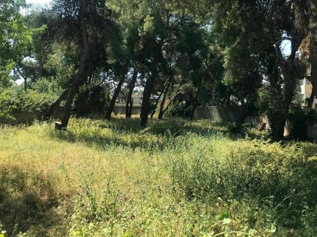 Land plot 1 sqm for sale