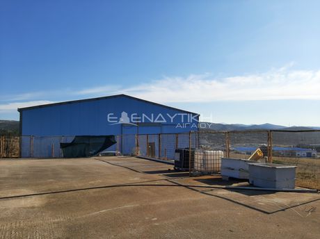 Βιοτεχνικός χώρος 495 τ.μ. για πώληση