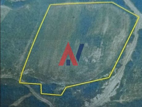 Αγροτεμάχια 5.800τ.μ. για πώληση-Σιθωνία » Παραλία νικήτης