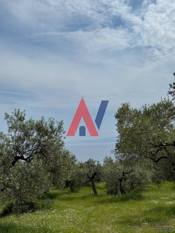 Αγροτεμάχια 2.700 τ.μ. προς πώληση, Κορτήρι
